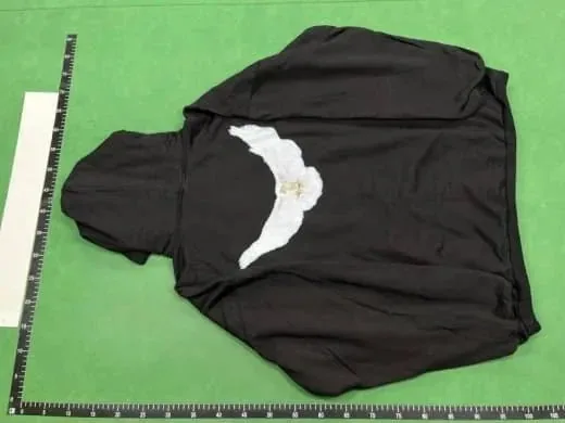 Black Hoodie with White Wing Embroidery Design — listing photograph